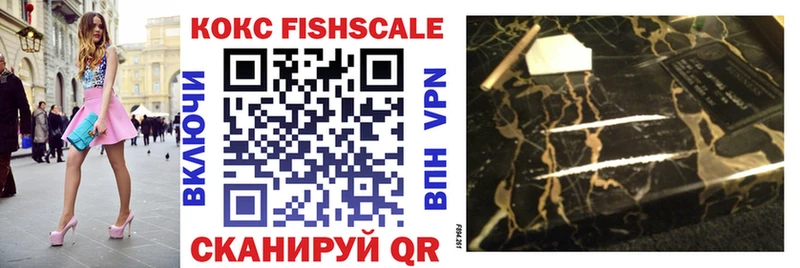 mega tor  Курильск  Cocaine FishScale  купить закладку 