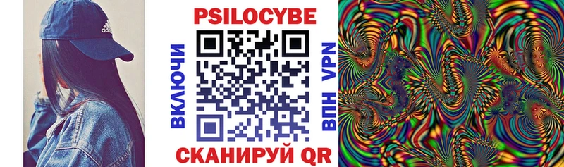 Псилоцибиновые грибы Psilocybe  Курильск 